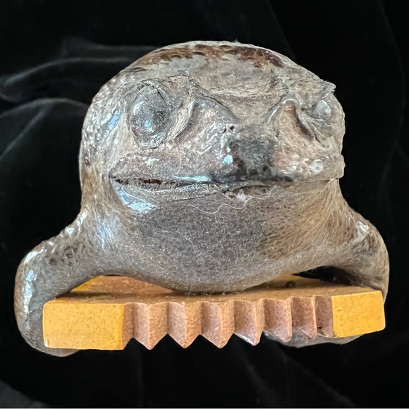 Froggy - Picture 3 of 10